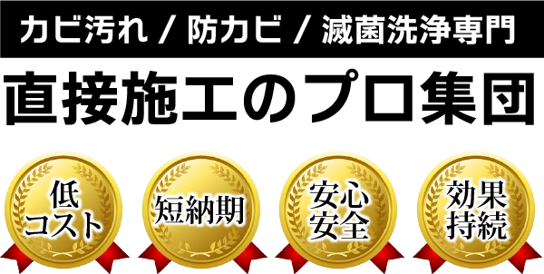 放っておいたら繁殖し続けるカビの除去と防止策を徹底解明 カビ専門 滅菌 特殊洗浄 外壁洗浄 株式会社プロスパー