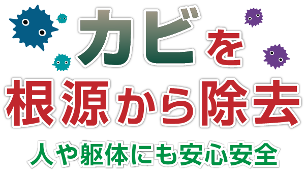 放っておいたら繁殖し続けるカビの除去と防止策を徹底解明 カビ専門 滅菌 特殊洗浄 外壁洗浄 株式会社プロスパー