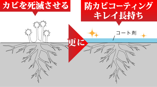 ZERO1工法はカビを元から除去を解説図