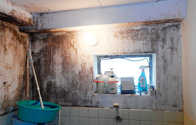 浴室 施工例 カビ専門 滅菌 特殊洗浄 外壁洗浄 株式会社プロスパー